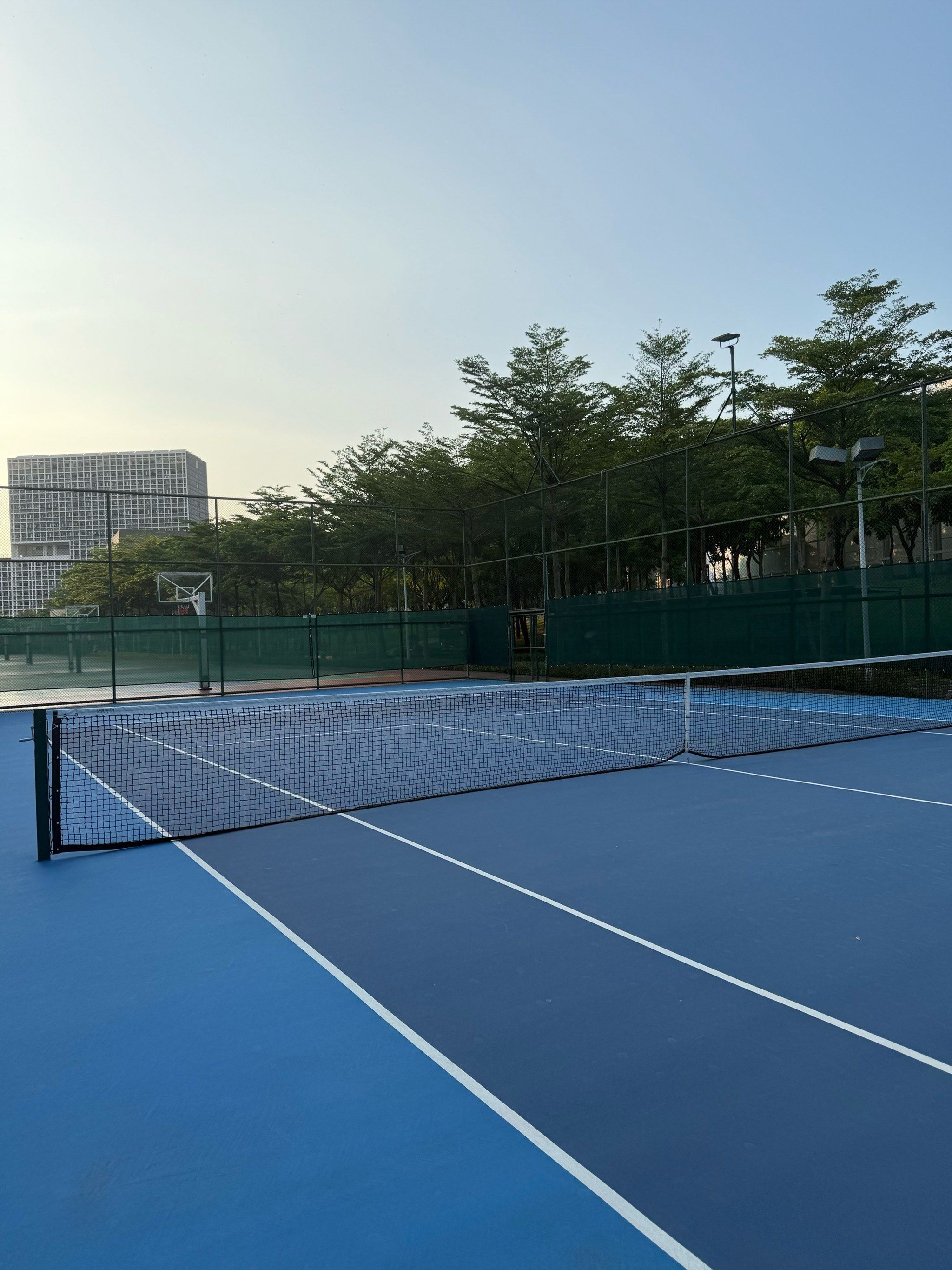 姚明希望杨 姚明希望杨